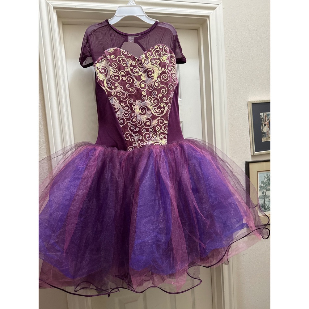 Curtain Call Purple Tutu Dance Costume Gold Embroidered Mesh C440L AXL